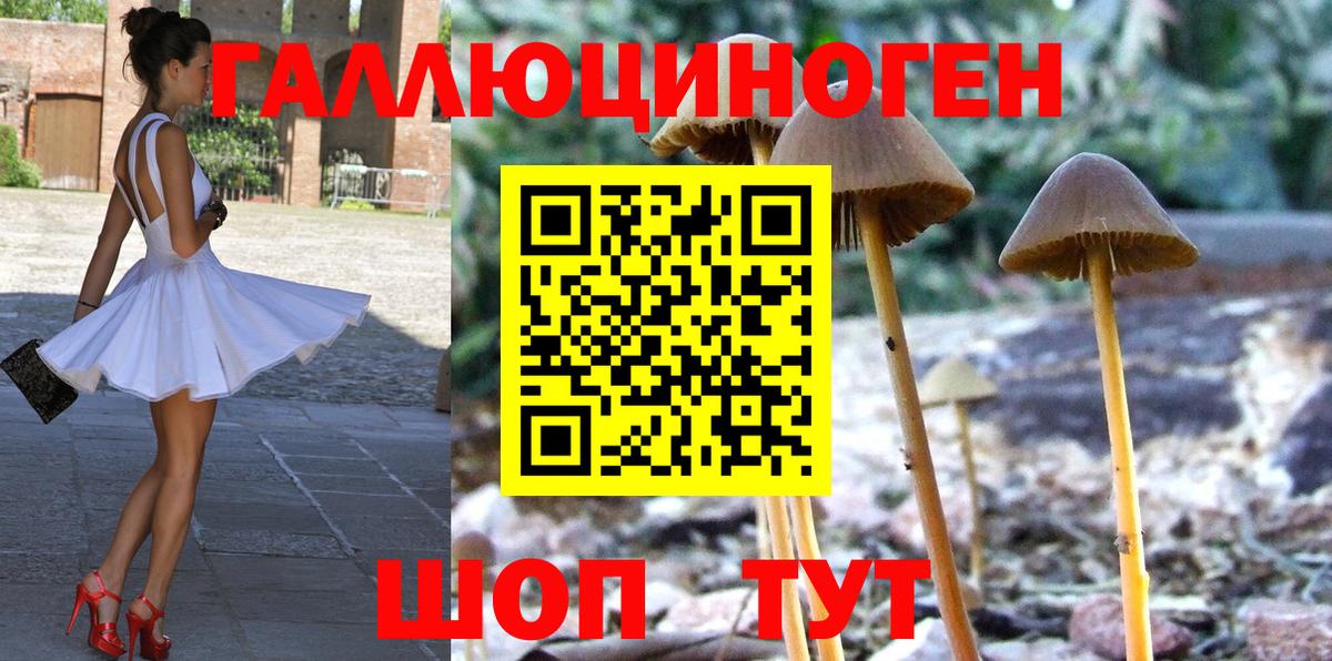 Кореновск  Галлюциногенные грибы MAGIC MUSHROOMS  Вход с VPN  Галлюциногенные грибы мухоморы 